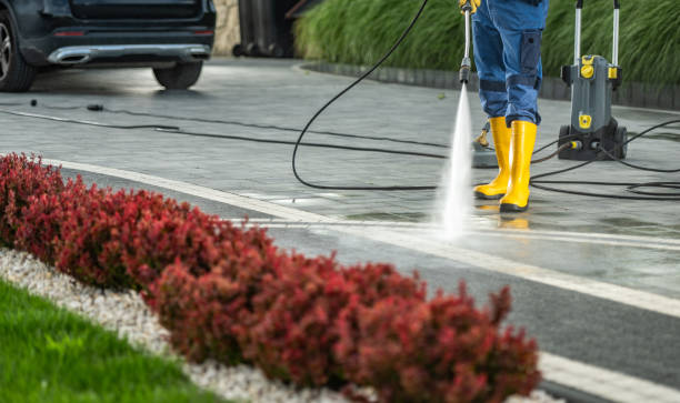 Best Driveway Pressure Washing  in Home Garden, CA